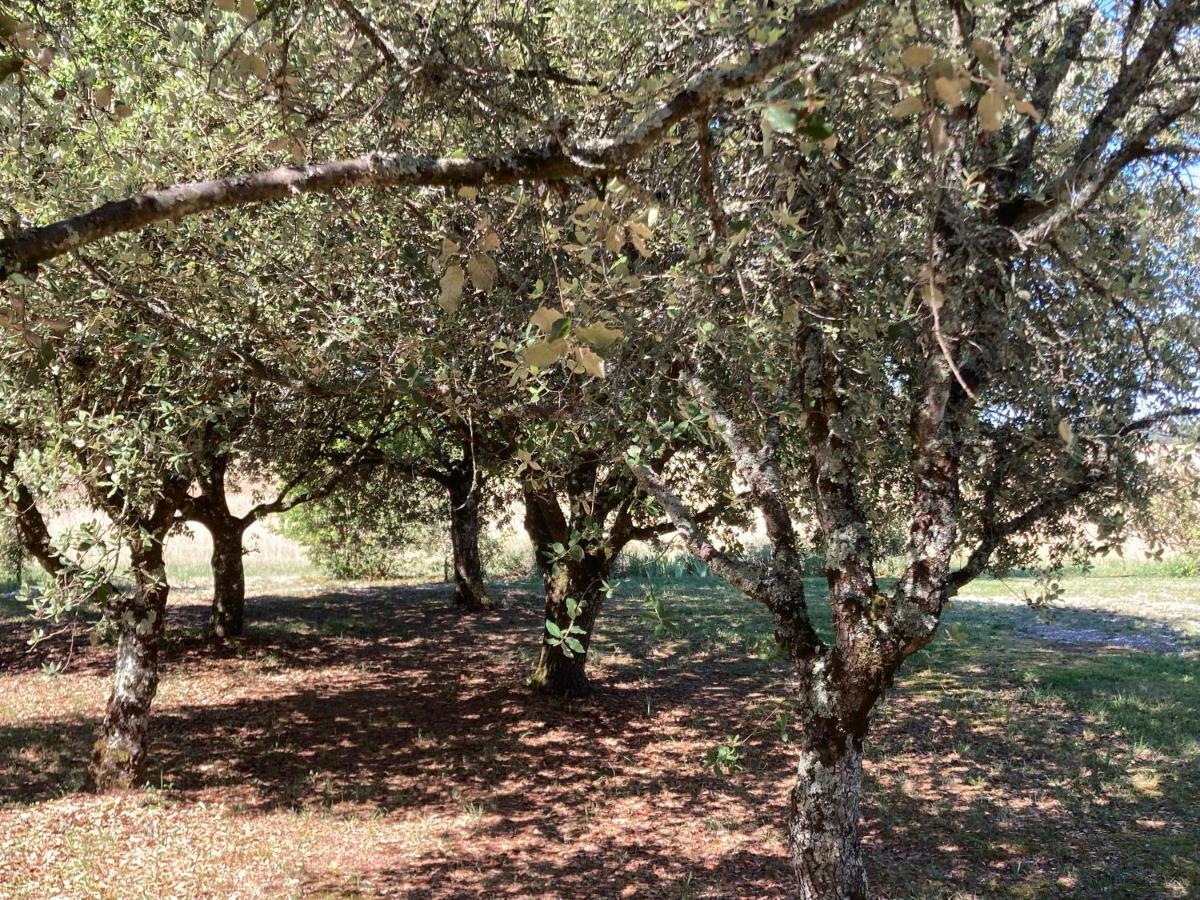 Le Murmure Des Fees Issigeac Экстерьер фото
